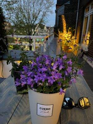 26 m² Balkon auf der Hausvorderseite