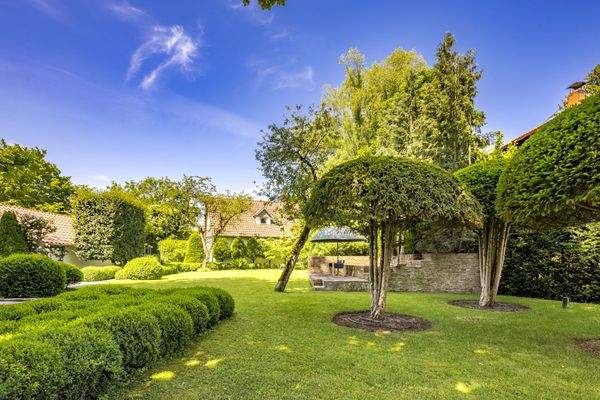 Außergewöhnlicher Baumbestand