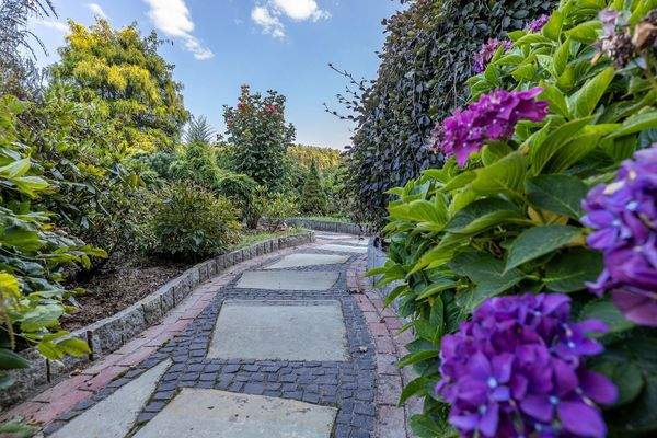 Garten in Ostausrichtung