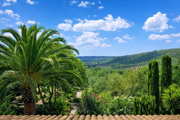 ChatGPT Image 6. Feb. 2026, 12_09_15