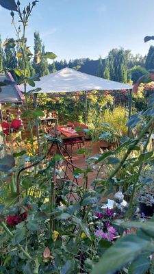 Garten/Sommer 