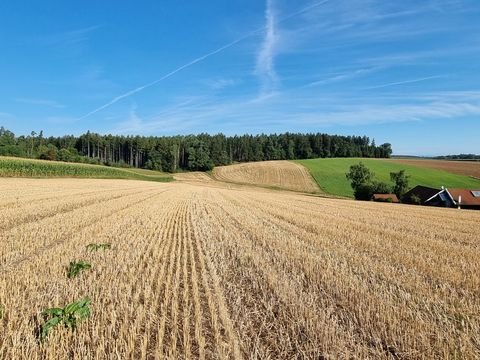 Johanniskirchen / Ammersdorf Bauernhöfe, Landwirtschaft, Johanniskirchen / Ammersdorf Forstwirtschaft