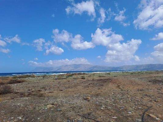 Kreta, Kissamos: Großes Grundstück direkt am Meer zu verkaufen