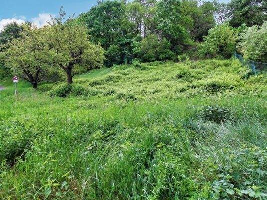 Grundstück in Ortsrandlage