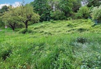 Grundstück in Ortsrandlage