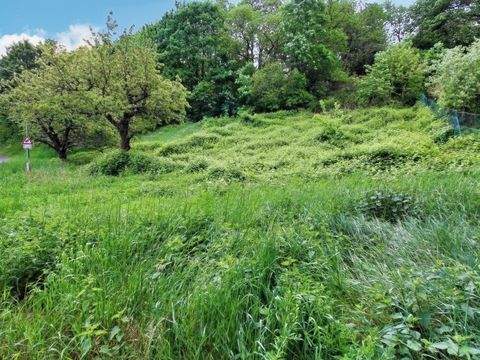 Dannenfels Grundstücke, Dannenfels Grundstück kaufen