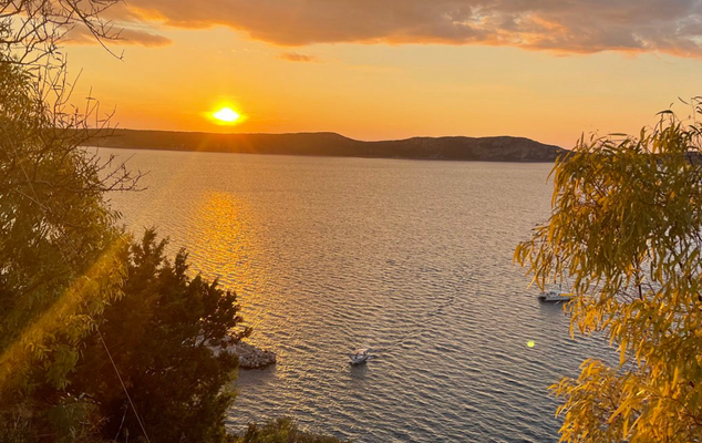 Bildschirmfoto 2025-08-23 um 10.08.51.png