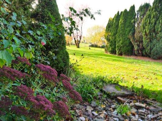 Weitläufiger Garten