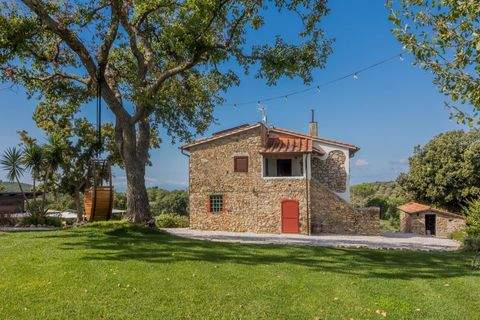 Suvereto Häuser, Suvereto Haus kaufen