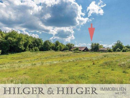 Blick v. Weideland a.d. Hof