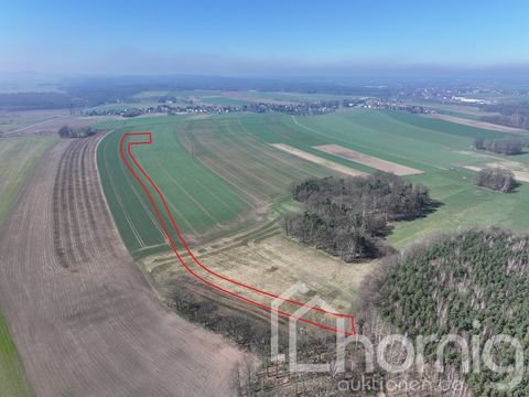 Arnsdorf Bauernhöfe, Landwirtschaft, Arnsdorf Forstwirtschaft