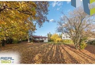 Blickrichtung Nord vom südlichem Ende des Grunds