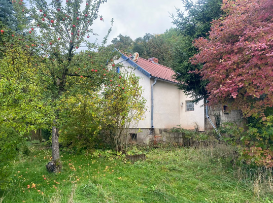 Bildschirmfoto 2026-03-04 um 13.24.41.png