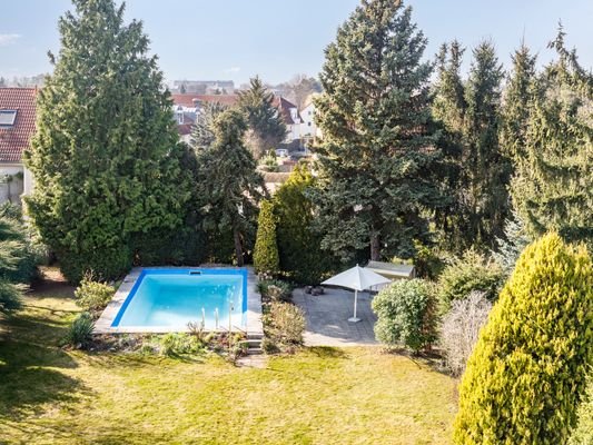 Garden Paradise