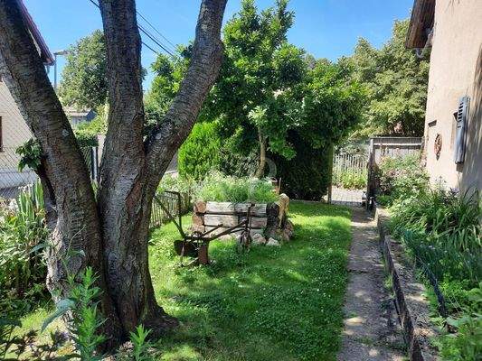 Gartenbereich 01 Detail 02 Südseite