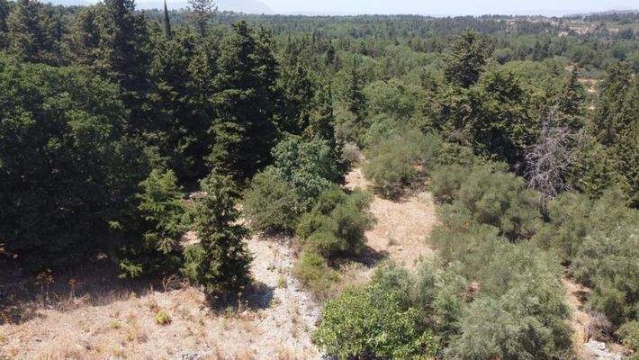 Kreta, Sellia Chania: Grundstück zum Verkauf im Dorf Sellia