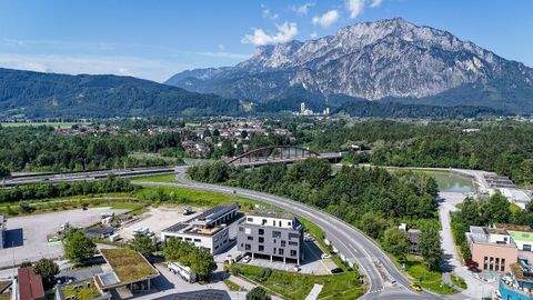 Puch bei Hallein Büros, Büroräume, Büroflächen 