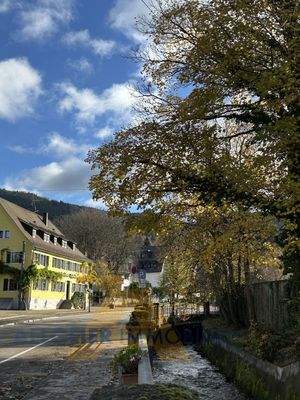 Impression Günterstal