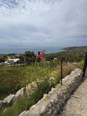 WhatsApp Image 2025-05-11 at 11.26.59-3.jpeg