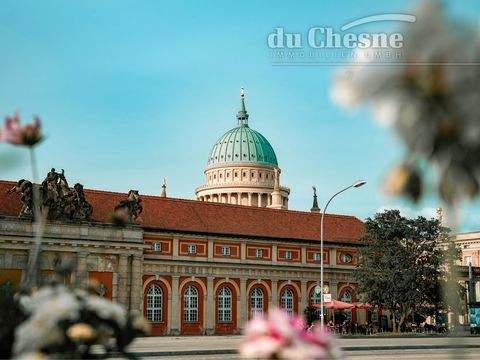 Potsdam Halle, Potsdam Hallenfläche