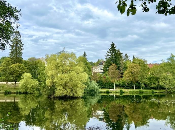 Interessante Altbauvilla (3 WE) mit Potential in landschaftlich reizvoller & stadtnaher Lage