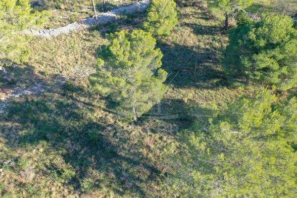  Großzügiges Bauareal für Ihre Vision