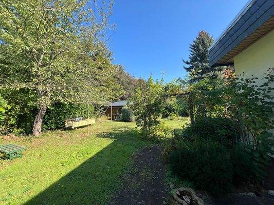 Blick vom Carport Richtung Garten