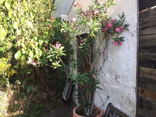 Garage, Oleander