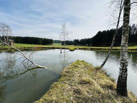 Freistadt Grundstücke, Freistadt Grundstück kaufen
