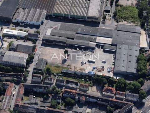 Gelsenkirchen Halle, Gelsenkirchen Hallenfläche