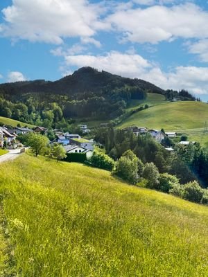 GRUNDSTÜCK