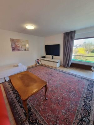 Blick Fernseher u Balkon