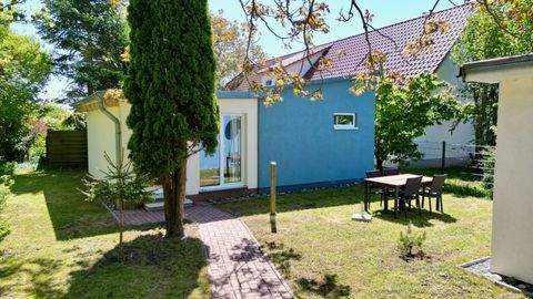 Dranske Häuser, Dranske Haus kaufen