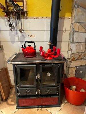 Detail, Herd mit Holzfeuerung