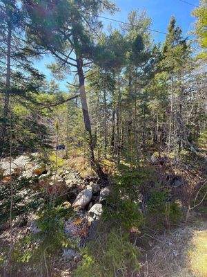 Blick auf das Grundstück