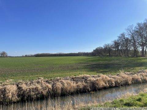 Seehausen Bauernhöfe, Landwirtschaft, Seehausen Forstwirtschaft