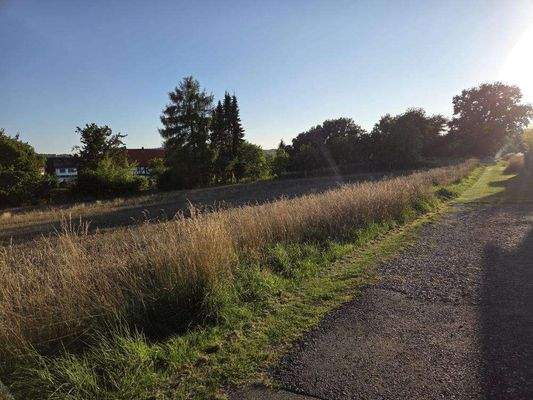 19b77aa785c24762d2b3c2cfc0f3ea