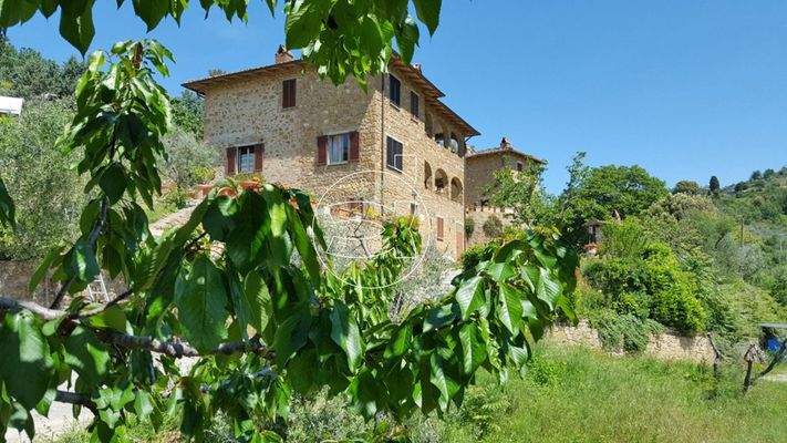 Representatives Anwesen