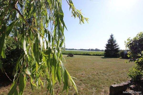Blick übers Grundstück