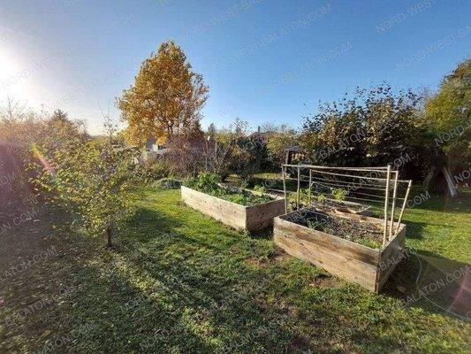 Garten mit Hochbeeten