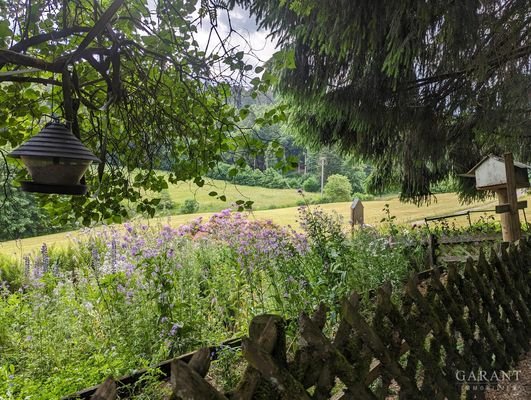 Garten vor dem Haus