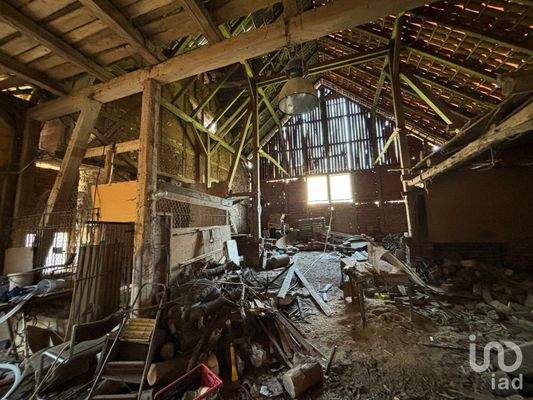 IMG_0991 2024-06-26 11_35_01