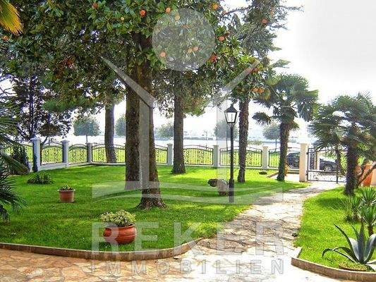 Eine mediterrane Bepflanzung ziert den Garten