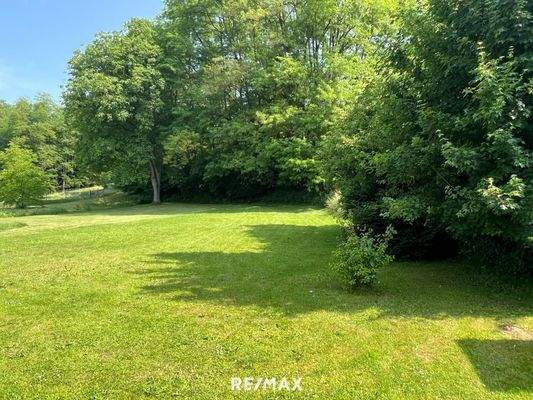 hinterer Gartenbereich