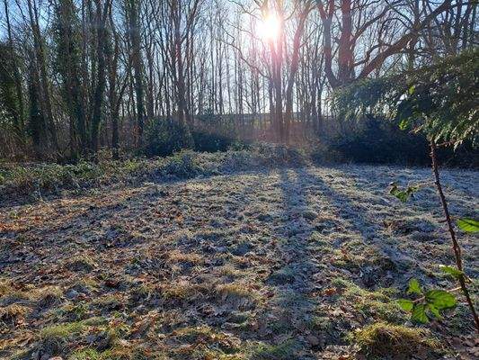 angrenzendes Grundstück zupachtbar