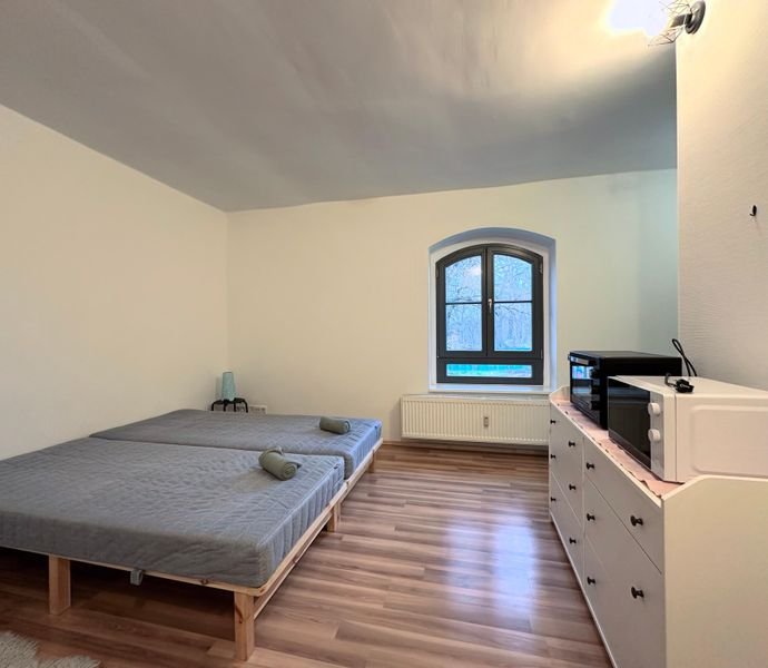 1 Zimmer Wohnung in Dresden (Leipziger Vorstadt)