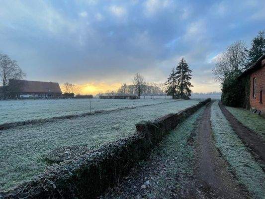 Zufahrt Image 2025-02-01 at 13.39.38.jpeg