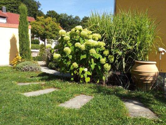 Steingarten mit Pflanzen