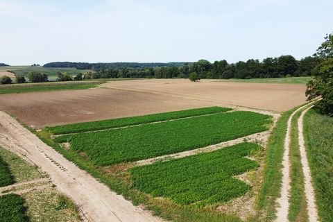 Reisbach Bauernhöfe, Landwirtschaft, Reisbach Forstwirtschaft