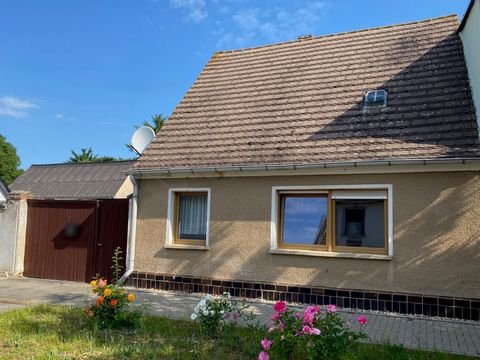 Wespen Häuser, Wespen Haus kaufen